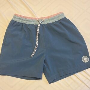 Chubbies Blue and Pink Swim Trunks